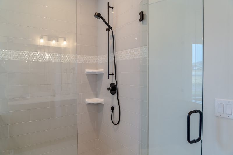 Sleek Shower Remodel